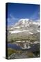 Mount Rainier National Park, Cascade Mountains-Ken Archer-Stretched Canvas