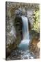Mount Rainier National Park - Christine Falls-Lantern Press-Stretched Canvas