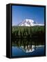 Mount Rainier National Park, Mount Rainier with Snow, Washington, USA-Steve Vidler-Framed Stretched Canvas