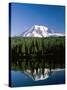 Mount Rainier National Park, Mount Rainier with Snow, Washington, USA-Steve Vidler-Stretched Canvas