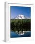 Mount Rainier National Park, Mount Rainier with Snow, Washington, USA-Steve Vidler-Framed Photographic Print