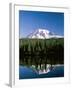 Mount Rainier National Park, Mount Rainier with Snow, Washington, USA-Steve Vidler-Framed Photographic Print