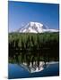 Mount Rainier National Park, Mount Rainier with Snow, Washington, USA-Steve Vidler-Mounted Photographic Print