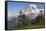 Mount Rainier National Park, Mount Rainier-Ken Archer-Framed Stretched Canvas