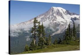 Mount Rainier National Park, Mount Rainier-Ken Archer-Stretched Canvas