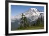 Mount Rainier National Park, Mount Rainier-Ken Archer-Framed Photographic Print