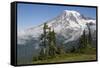 Mount Rainier National Park, Mount Rainier-Ken Archer-Framed Stretched Canvas