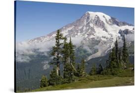Mount Rainier National Park, Mount Rainier-Ken Archer-Stretched Canvas