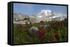 Mount Rainier National Park, Mount Rainier-Ken Archer-Framed Stretched Canvas