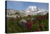 Mount Rainier National Park, Mount Rainier-Ken Archer-Stretched Canvas