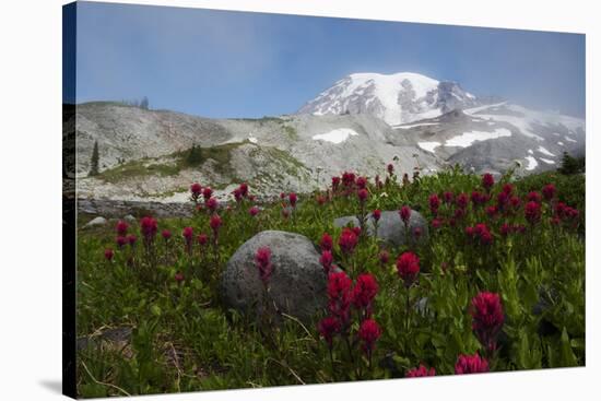 Mount Rainier National Park, Mount Rainier-Ken Archer-Stretched Canvas