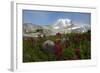 Mount Rainier National Park, Mount Rainier-Ken Archer-Framed Photographic Print