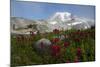 Mount Rainier National Park, Mount Rainier-Ken Archer-Mounted Photographic Print