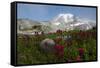 Mount Rainier National Park, Mount Rainier-Ken Archer-Framed Stretched Canvas