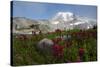 Mount Rainier National Park, Mount Rainier-Ken Archer-Stretched Canvas