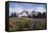 Mount Rainier National Park, Mount Rainier-Ken Archer-Framed Stretched Canvas