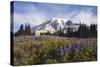 Mount Rainier National Park, Mount Rainier-Ken Archer-Stretched Canvas