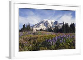 Mount Rainier National Park, Mount Rainier-Ken Archer-Framed Photographic Print