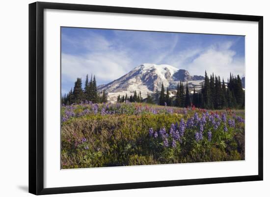 Mount Rainier National Park, Mount Rainier-Ken Archer-Framed Photographic Print