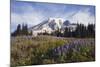 Mount Rainier National Park, Mount Rainier-Ken Archer-Mounted Photographic Print