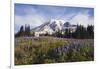 Mount Rainier National Park, Mount Rainier-Ken Archer-Framed Photographic Print