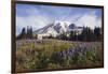 Mount Rainier National Park, Mount Rainier-Ken Archer-Framed Photographic Print