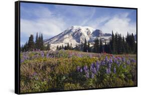 Mount Rainier National Park, Mount Rainier-Ken Archer-Framed Stretched Canvas