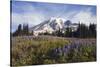 Mount Rainier National Park, Mount Rainier-Ken Archer-Stretched Canvas