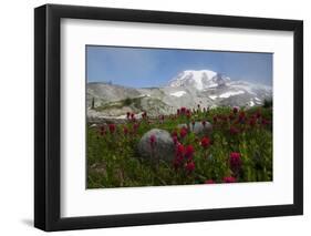 Mount Rainier National Park, Mount Rainier-Ken Archer-Framed Photographic Print