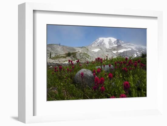 Mount Rainier National Park, Mount Rainier-Ken Archer-Framed Photographic Print