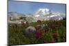 Mount Rainier National Park, Mount Rainier-Ken Archer-Mounted Photographic Print