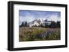 Mount Rainier National Park, Mount Rainier-Ken Archer-Framed Photographic Print