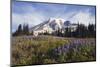 Mount Rainier National Park, Mount Rainier-Ken Archer-Mounted Photographic Print