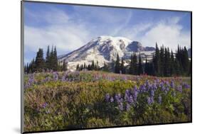 Mount Rainier National Park, Mount Rainier-Ken Archer-Mounted Photographic Print