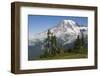 Mount Rainier National Park, Mount Rainier-Ken Archer-Framed Photographic Print