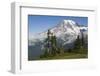 Mount Rainier National Park, Mount Rainier-Ken Archer-Framed Photographic Print