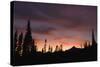 Mount Rainier National Park, Sunset-Ken Archer-Stretched Canvas