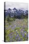 Mount Rainier National Park, Tatoosh Mountains-Ken Archer-Stretched Canvas