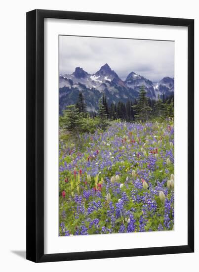 Mount Rainier National Park, Tatoosh Mountains-Ken Archer-Framed Photographic Print