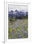 Mount Rainier National Park, Tatoosh Mountains-Ken Archer-Framed Photographic Print