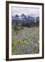 Mount Rainier National Park, Tatoosh Mountains-Ken Archer-Framed Photographic Print