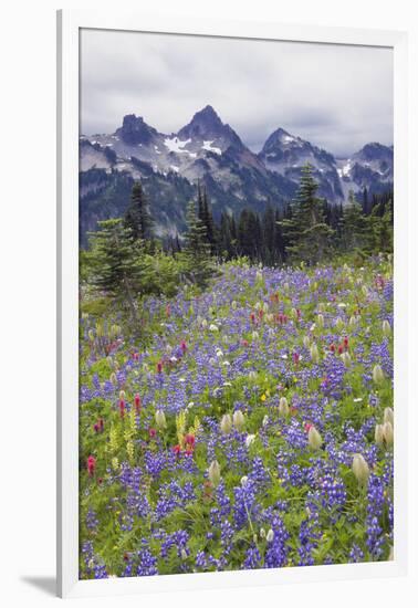 Mount Rainier National Park, Tatoosh Mountains-Ken Archer-Framed Photographic Print