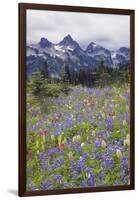 Mount Rainier National Park, Tatoosh Mountains-Ken Archer-Framed Photographic Print