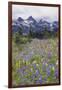 Mount Rainier National Park, Tatoosh Mountains-Ken Archer-Framed Photographic Print