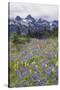 Mount Rainier National Park, Tatoosh Mountains-Ken Archer-Stretched Canvas