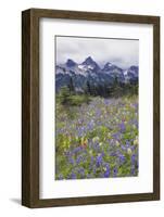 Mount Rainier National Park, Tatoosh Mountains-Ken Archer-Framed Photographic Print