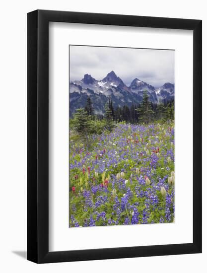 Mount Rainier National Park, Tatoosh Mountains-Ken Archer-Framed Photographic Print