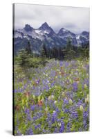 Mount Rainier National Park, Tatoosh Mountains-Ken Archer-Stretched Canvas