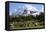 Mount Rainier National Park, Wa. Spray Park-Matt Freedman-Framed Stretched Canvas