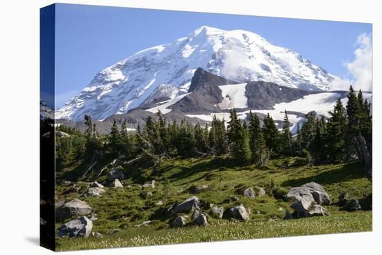 Mount Rainier National Park, Wa. Spray Park-Matt Freedman-Stretched Canvas